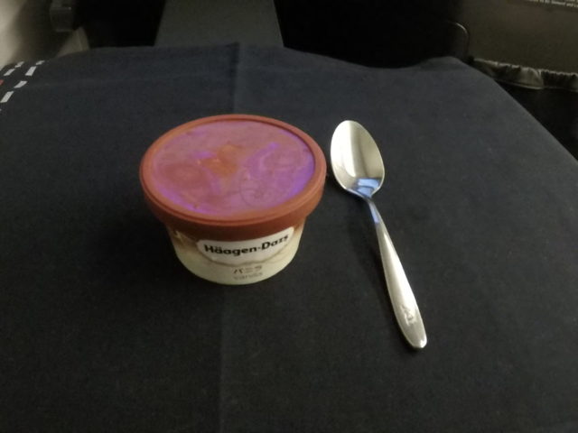 ijs, Japan airlines, business class, Häagen-Dazs