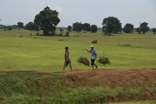 Bestemmingstips: Phnom Penh & Battambang