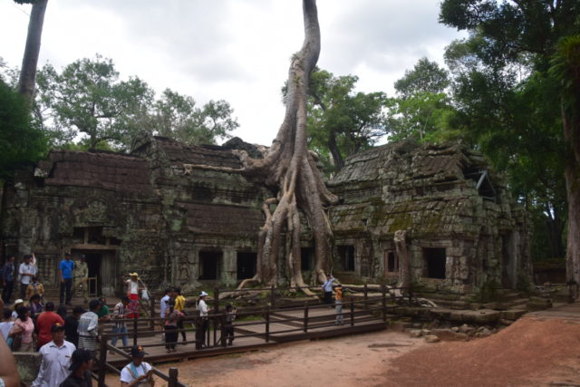 Bestemmingstips: Siem Reap & Historisch Angkor Wat