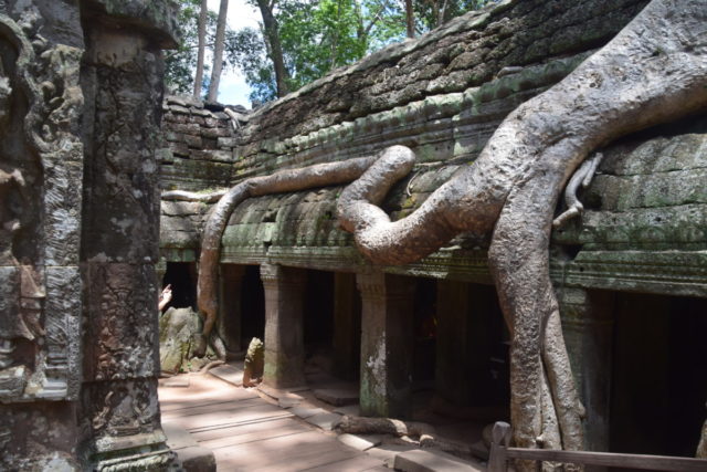 Bestemmingstips: Siem Reap & Historisch Angkor Wat