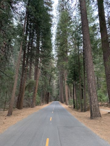 Bestemmingstips - Genieten van de schoonheid van Yosemite National Park