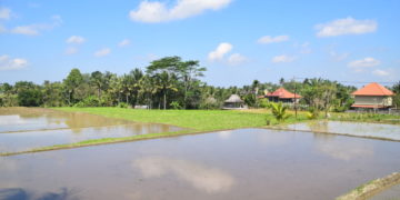 Indonesië stelt opening grenzen verder uit