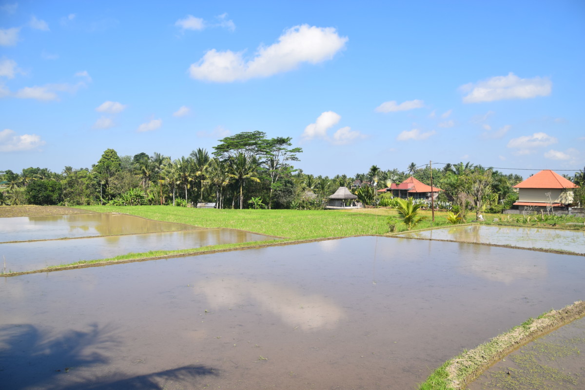 Indonesië stelt opening grenzen verder uit