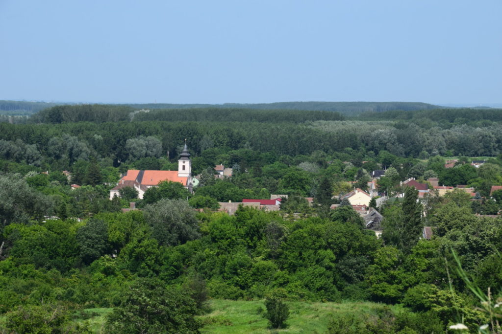 Bestemmingstips: Novi Sad, Servië