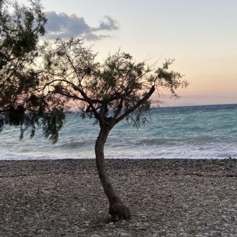 Kokkari Beach 