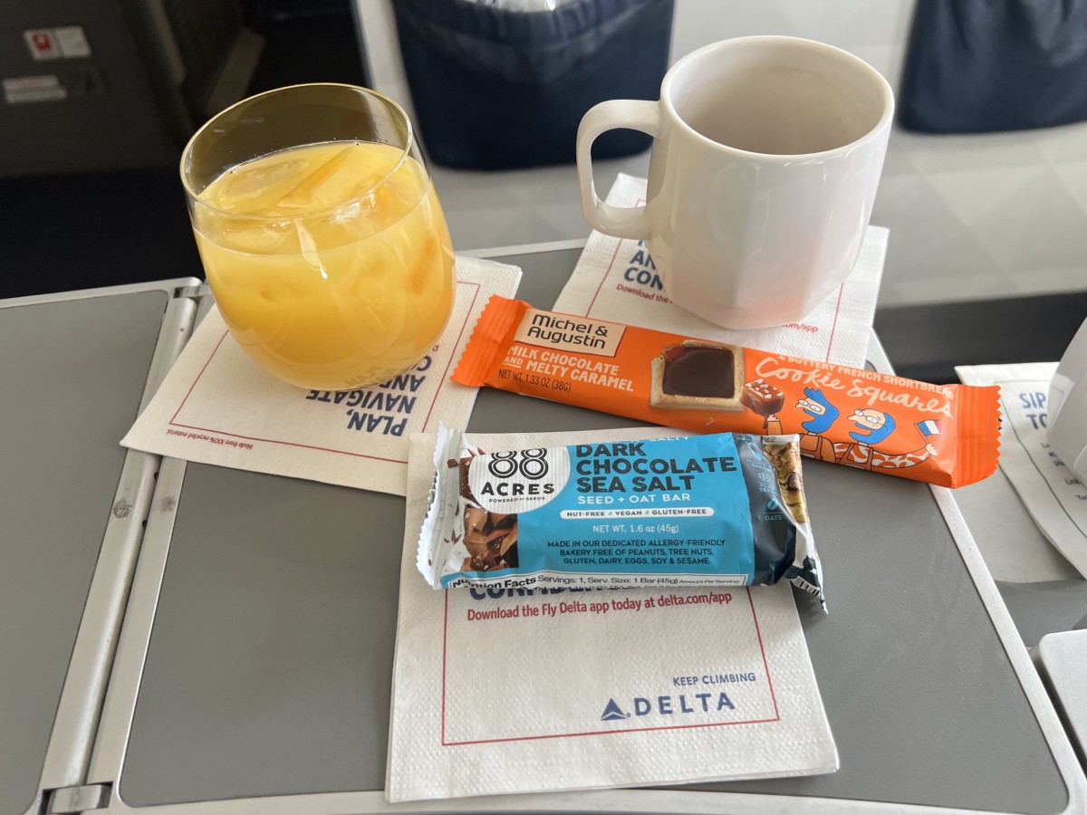 Review: Delta Connection (Skywest) Embraer 175 | First Class Chicago - New York