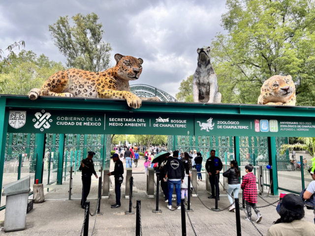 Review The Alest Hotel Mexico-Stad