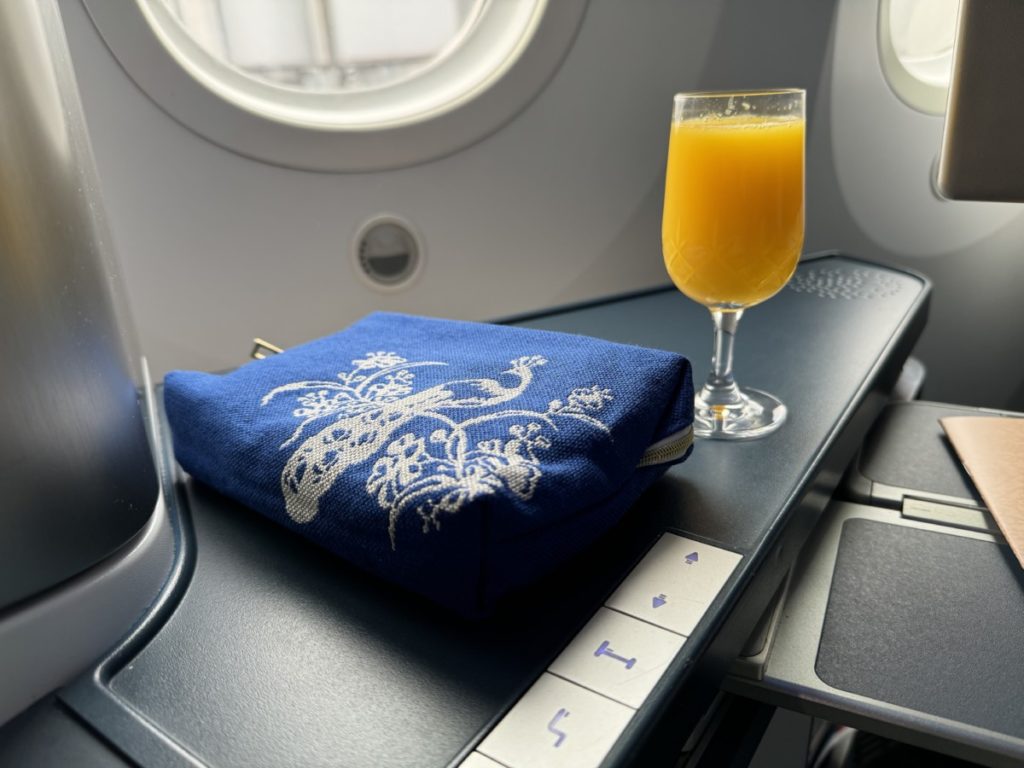 Review: KLM World Business Class | Beijing - Amsterdam | Boeing 787-9