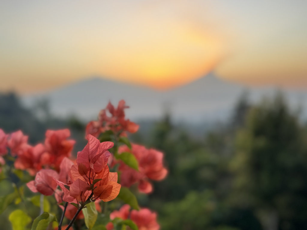 Handleiding: Zo vraag je een Visa On Arrival Indonesië thuis al aan