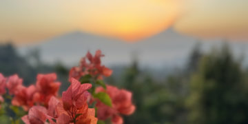 Handleiding: Zo vraag je een Visa On Arrival Indonesië thuis al aan